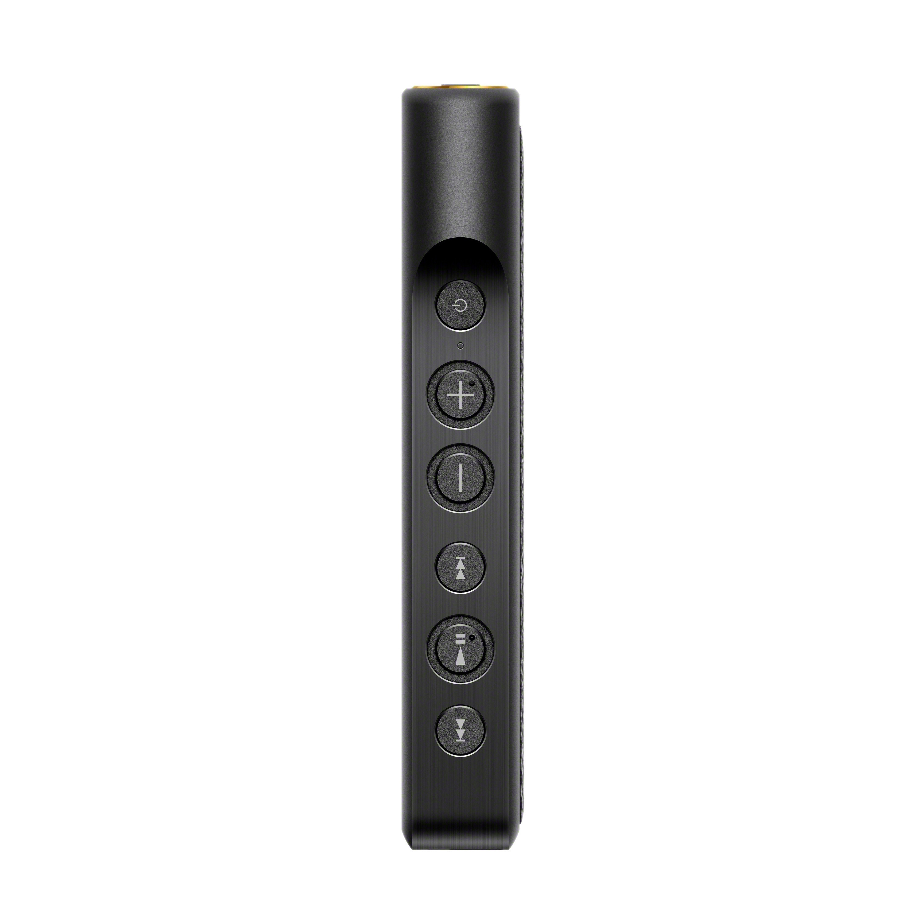SONY NW-WM1A MP3-Player 128 GB, Schwarz
