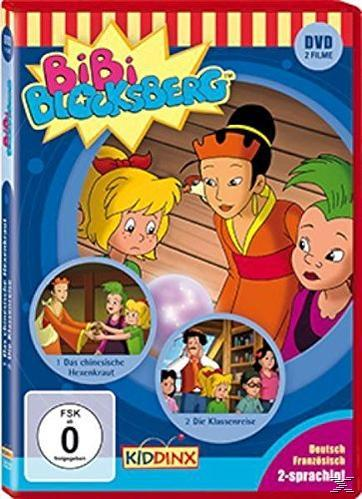Eine DVD-Hülle eines Zeichentrickfilms mit drei Kindern und dem Titel Bibi Blocksberg. Rote, gelbe und blaue Töne.