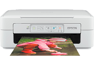 epson xp 245 media markt