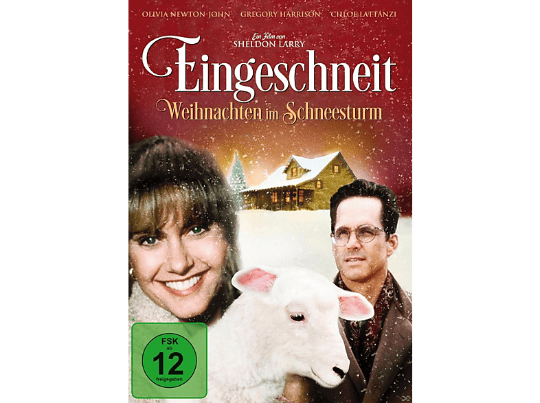 Eingeschneit Weihnachten im Schneesturm DVD online kaufen MediaMarkt