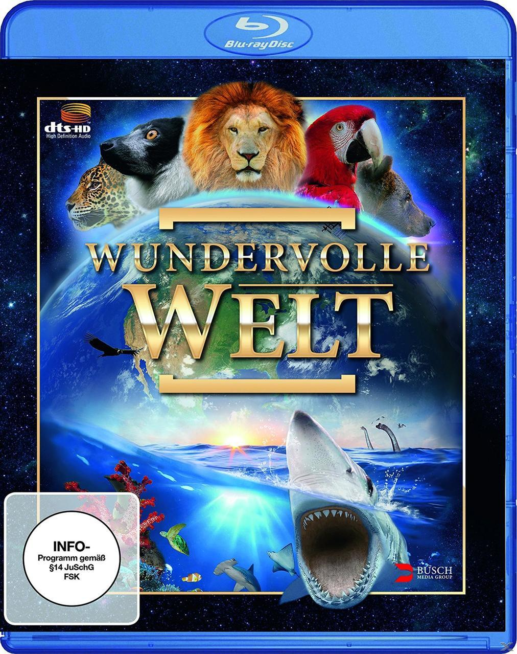 WELT WUNDERVOLLE Blu-ray (BLU-RAY)