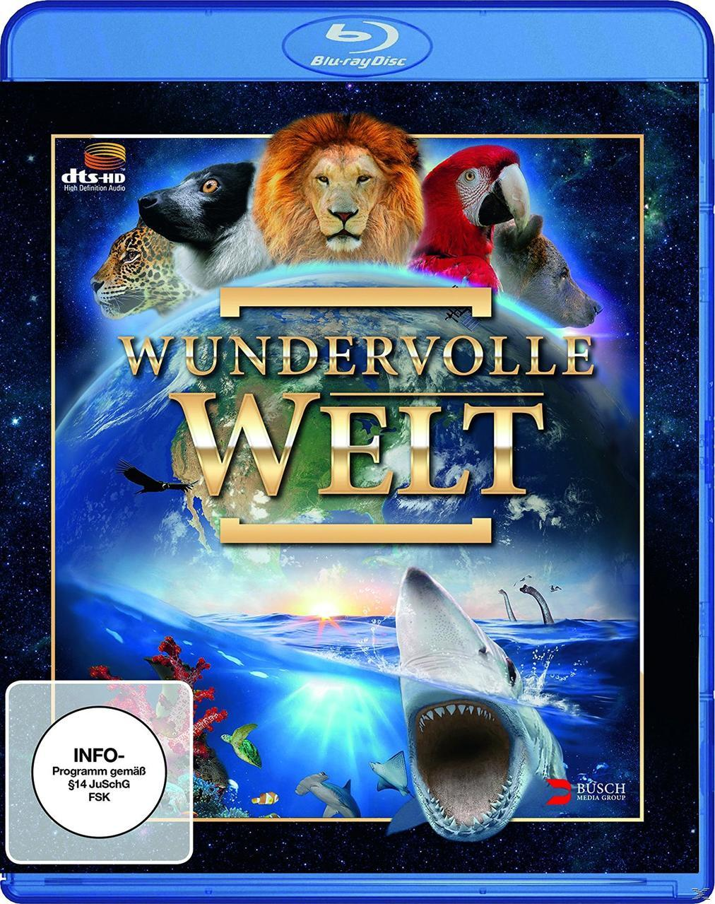 WUNDERVOLLE WELT (BLU-RAY) Blu-ray