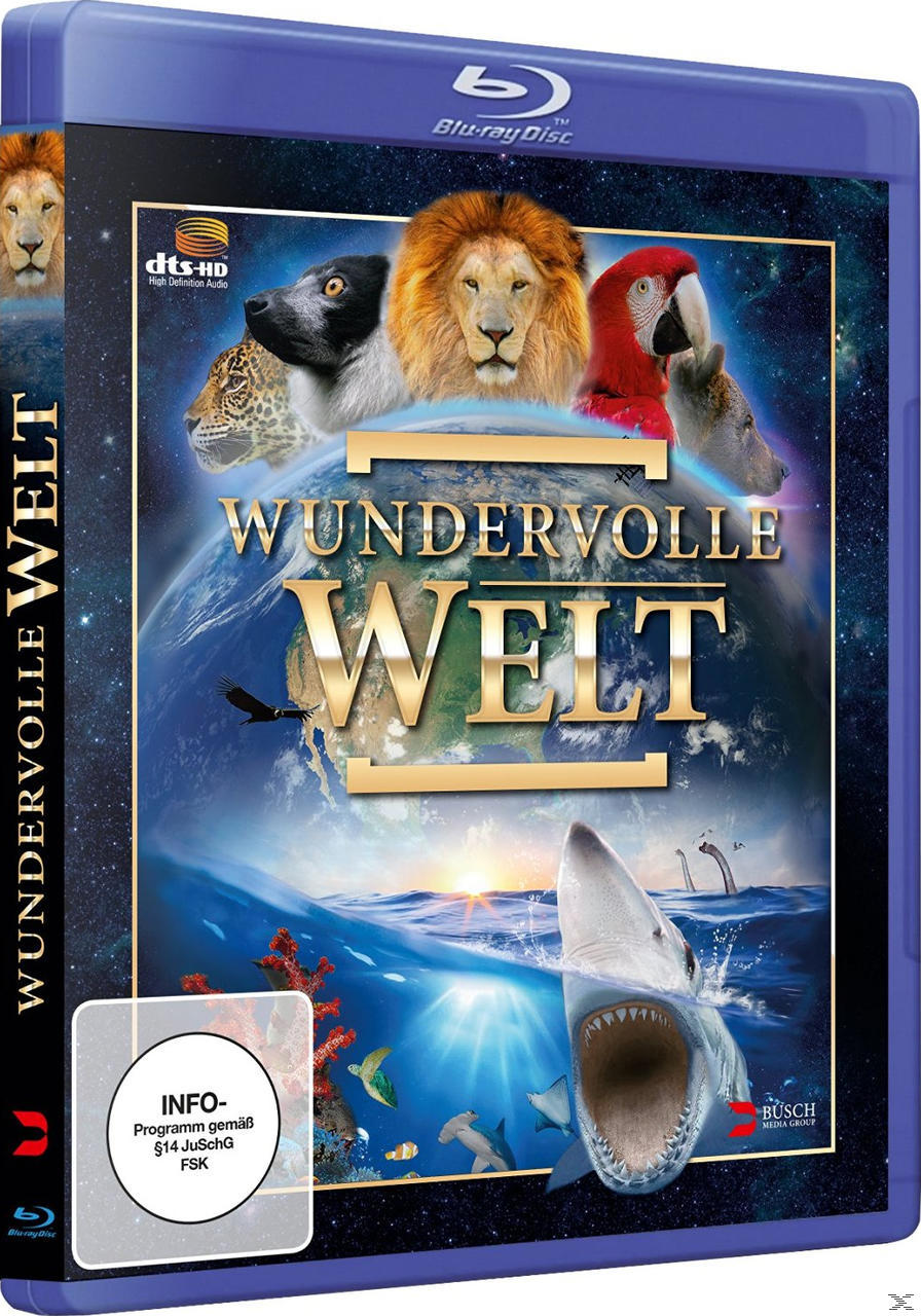 WUNDERVOLLE WELT (BLU-RAY) Blu-ray