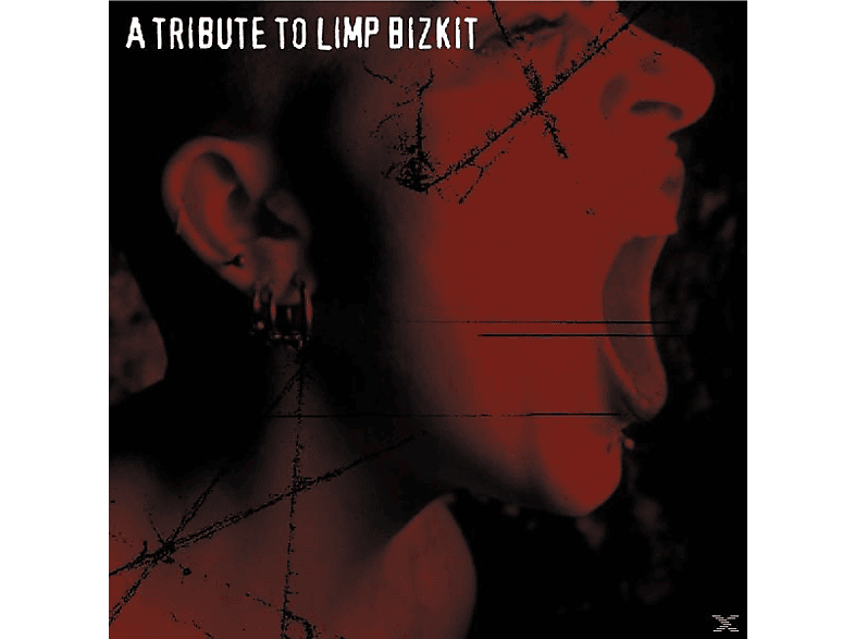 Tribute To Limp Bizkit  - (CD)