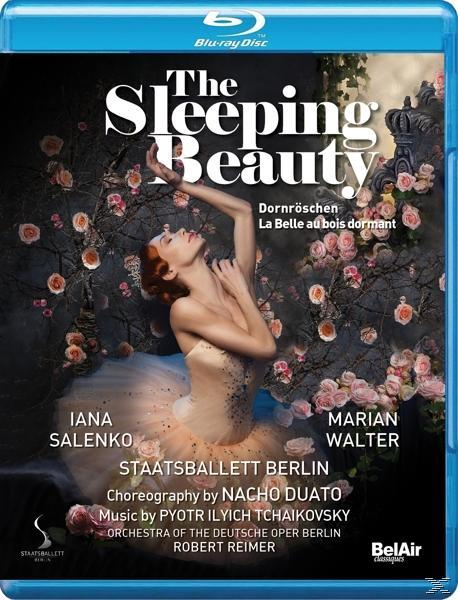 The Beauty Blu-ray Sleeping