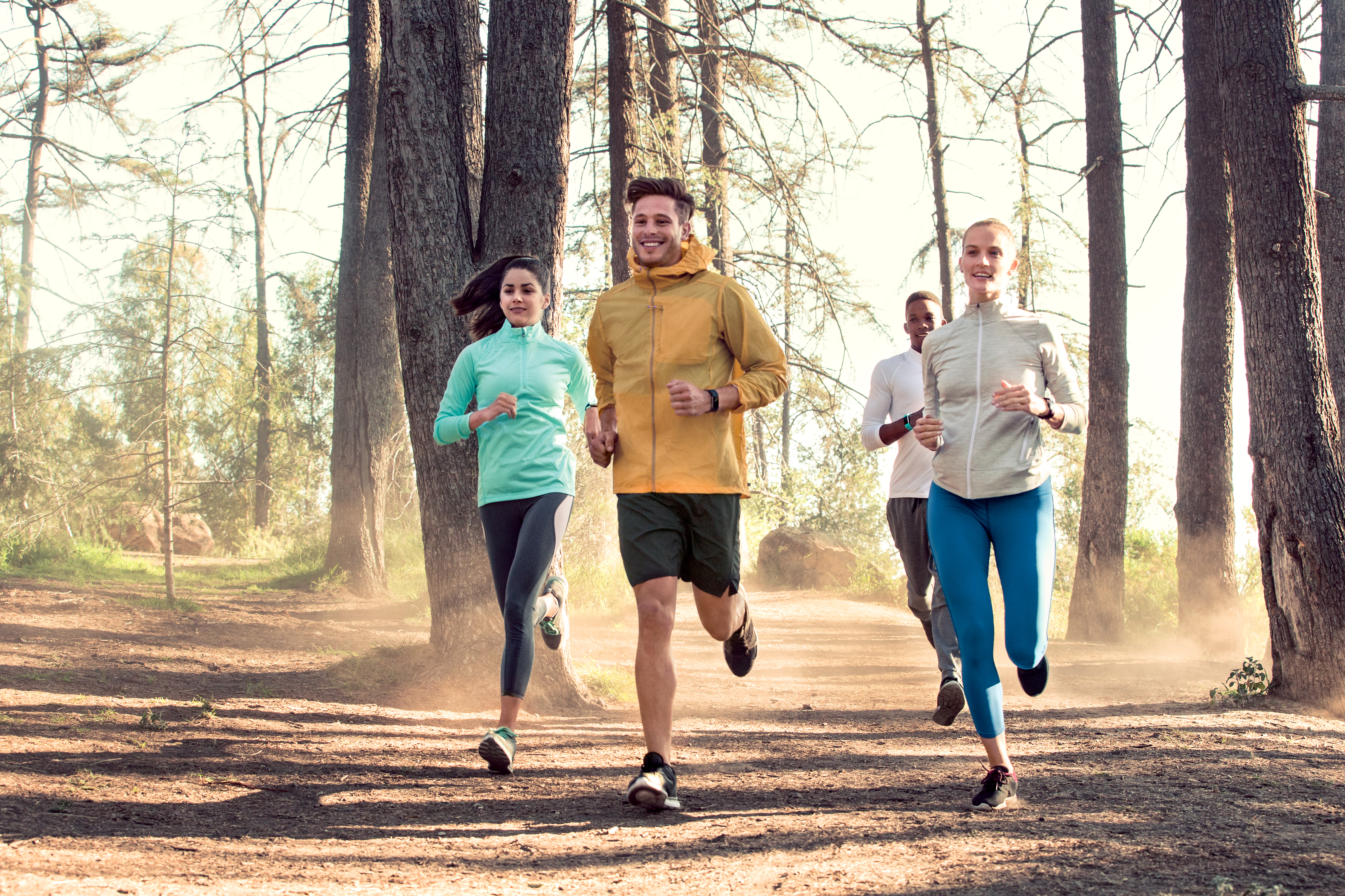 FITBIT Charge 2 Zwart S