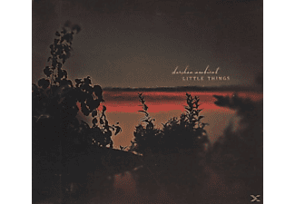 Darshan Ambient - Little Things  - (CD)