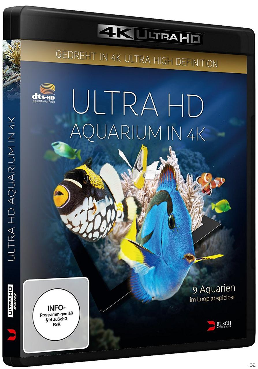 4K Ultra HD Blu-ray Cover. Zeigt bunte Fische in einem Korallenriff. Text: Ultra HD Aquarium in 4K.