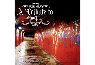 Tribute To Sean Paul - TRIBUTE TO SEAN PAUL  - (CD)