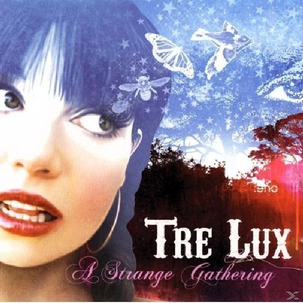 Strange - (CD) - Gathering Lux Tre