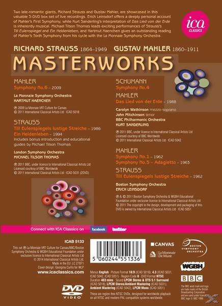 DVD-Hülle hinten mit Text über Strauss und Mahler Masterworks. Brauner Hintergrund, bunte Kreise.