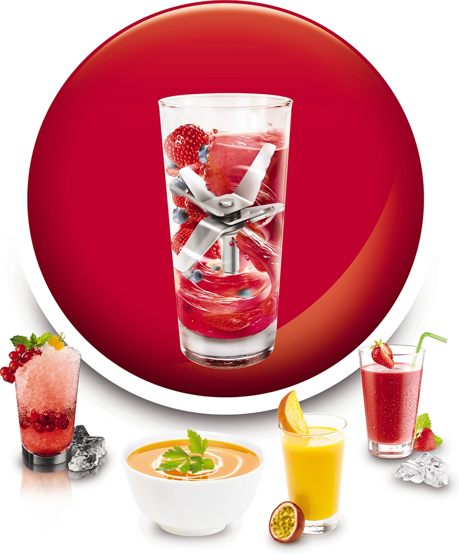 MOULINEX Blender Mastermix (LM850D10)