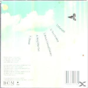 The Feelings Mutual - the feelings mutual  - (CD)