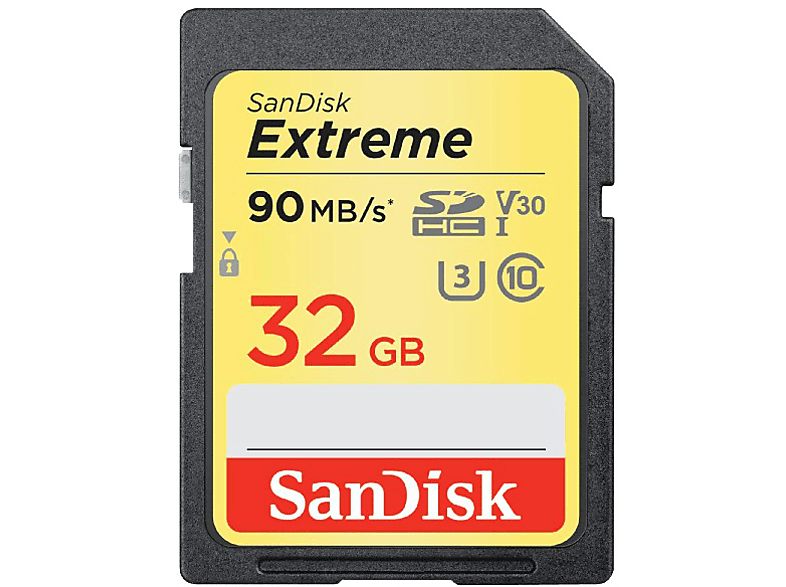 SANDISK Geheugenkaart Extreme SDHC 32 GB V30 U3 (173355)