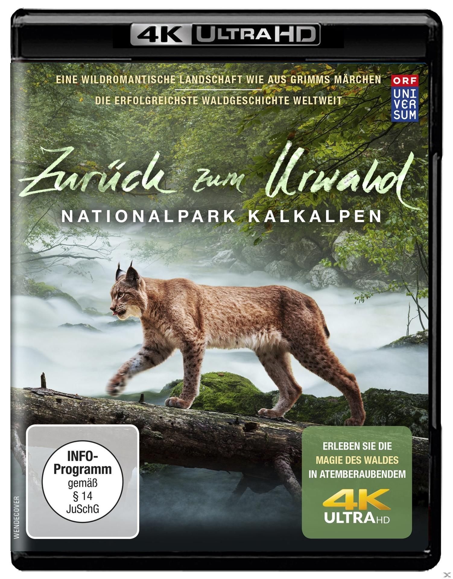 Zurück zum Urwald - Der 4K Ultra HD Kalkalpen Blu-ray Nationalpark