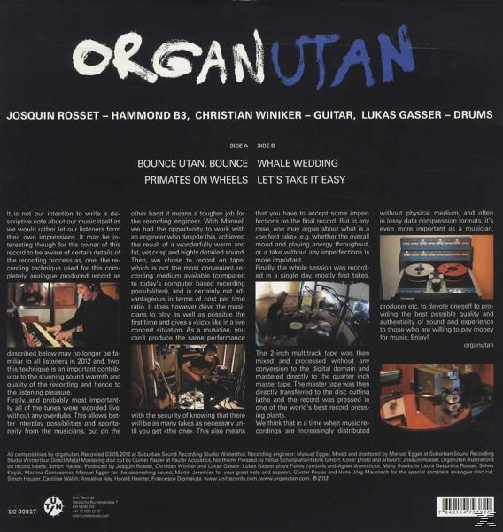 Orangutan, Organutan - ENDANGERED SOUNDS  - (Vinyl)
