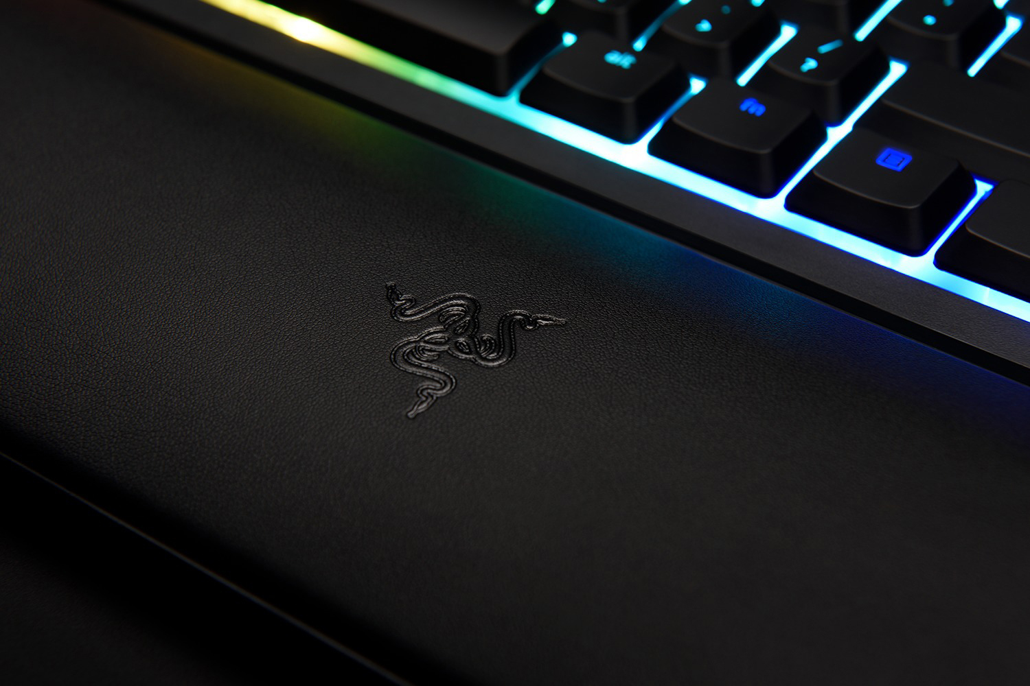Nahaufnahme einer Razer-Tastatur. Die schwarze Tastatur hat beleuchtete Tasten. Das Razer-Logo befindet sich auf der Handballenauflage.