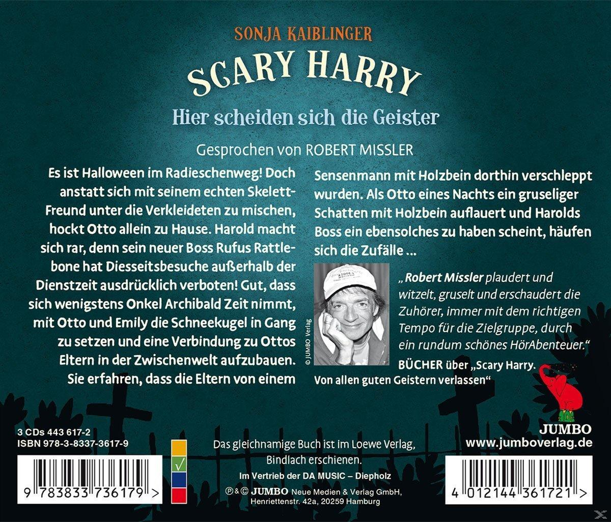 Scary Harry. Hier scheiden sich die Geister  - (CD)