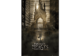 Fantastic Beasts Poster Newt Scamander
