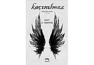 IKI A Kaçınılmaz - Öngörü Serisi 1. Kitap