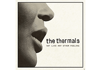 The Thermals - Not Like Any Other Feeling  - (Vinyl)