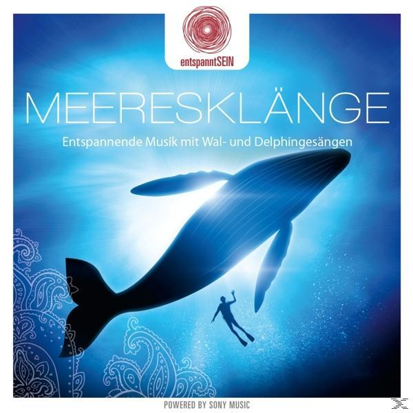 Albumcover. Silhouette eines Wals und einer schwimmenden Person. Text: Meeresklänge, Entspannende Musik...