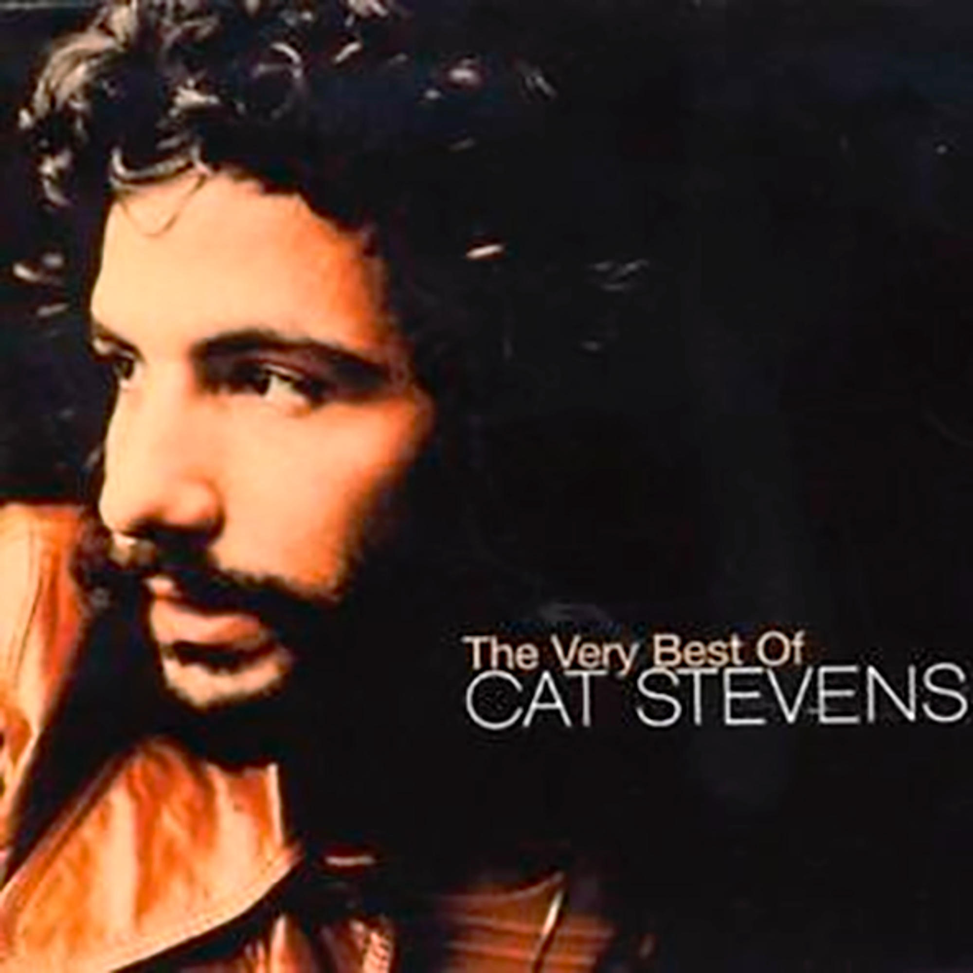 Albumcover mit Cat Stevens mit Bart und brauner Jacke.