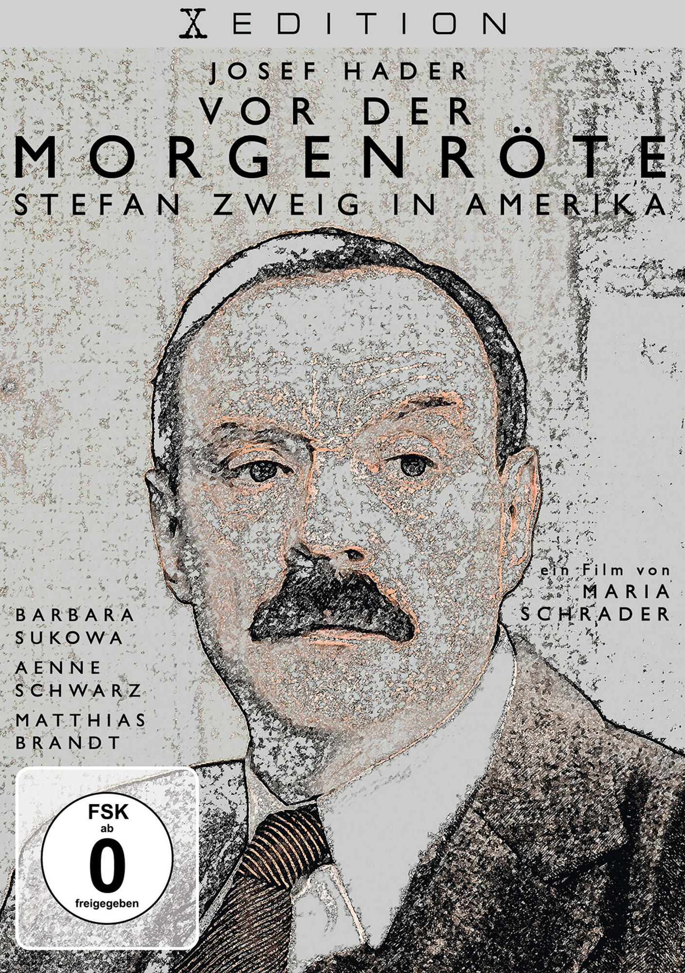 Vor der Morgenröte – Stefan Zweig in Amerika [DVD]