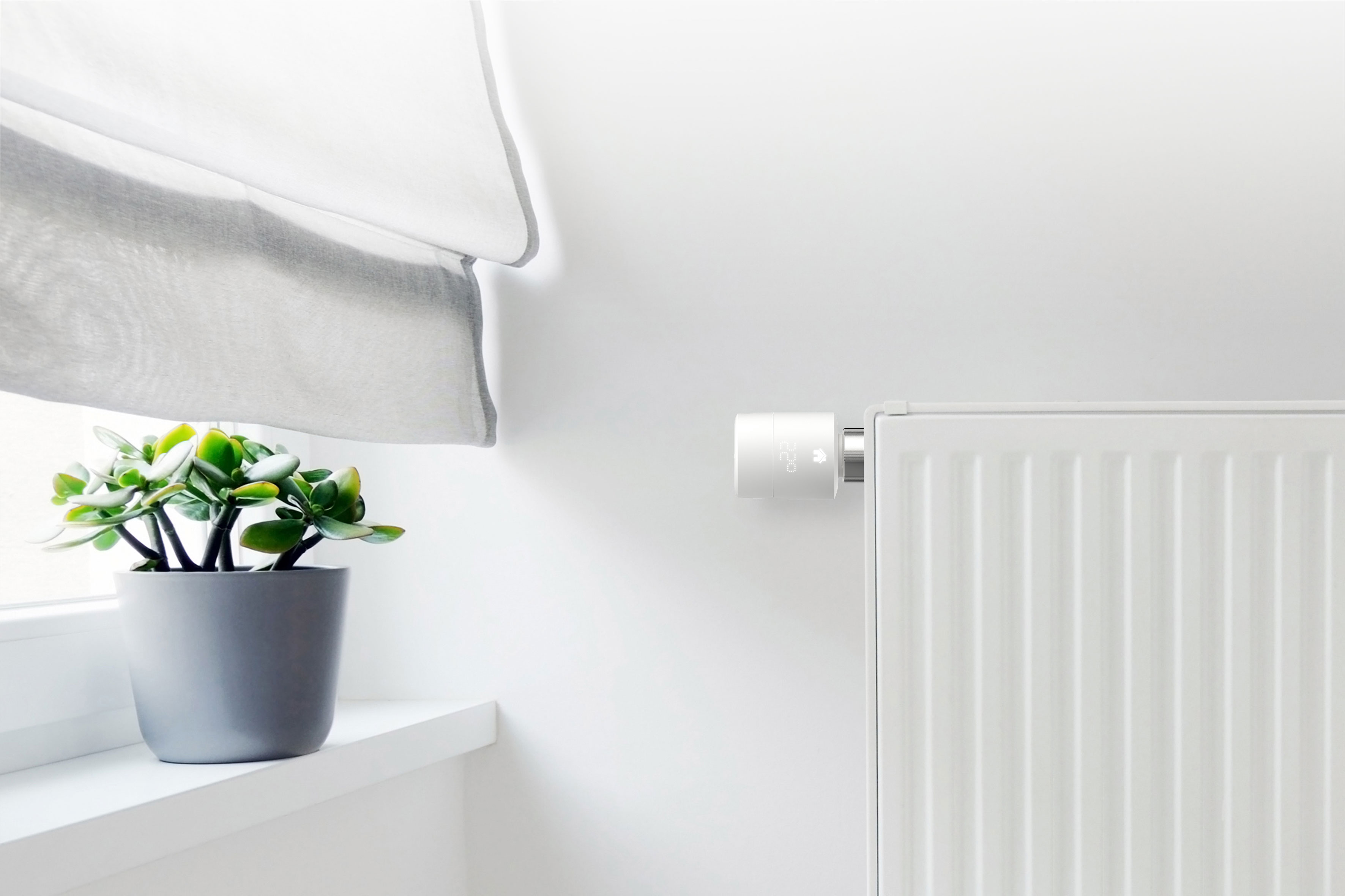 Witte muur met een radiator en een kleine plant in een pot op een vensterbank.