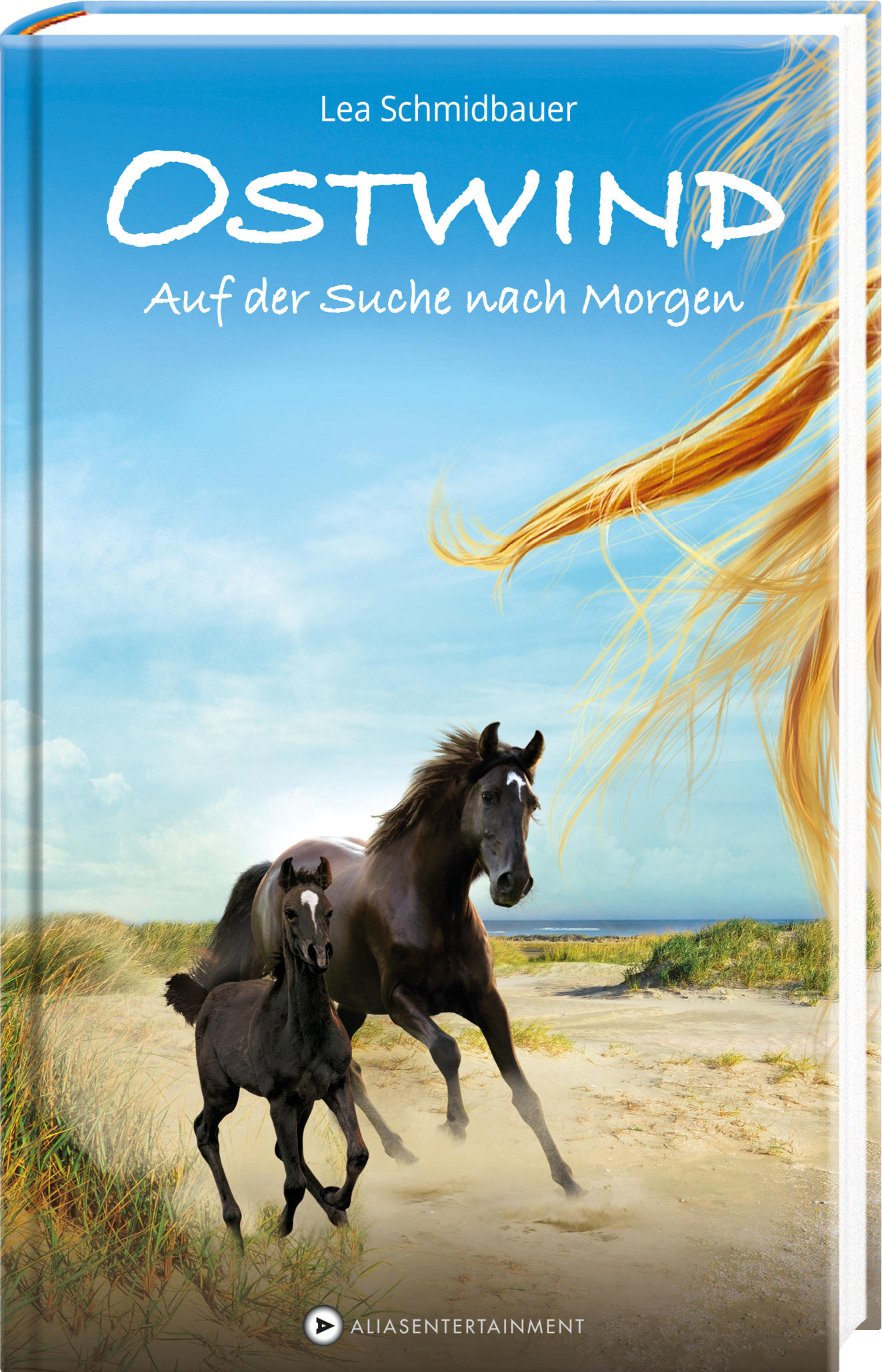 Ostwind - Auf der Suche nach Morgen