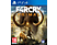 Far Cry Primal (PlayStation 4)