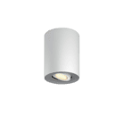 LED Spot Hue White Ambiance Pillar inkl. Dimmschalter, weiß