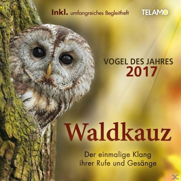 TELAMO Der Waldkauz - Vogel des Jahres 2017