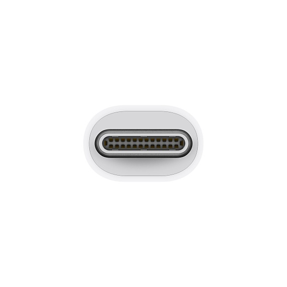 Un connecteur USB-C blanc. Il a une forme rectangulaire avec de nombreuses petites broches à l'intérieur.