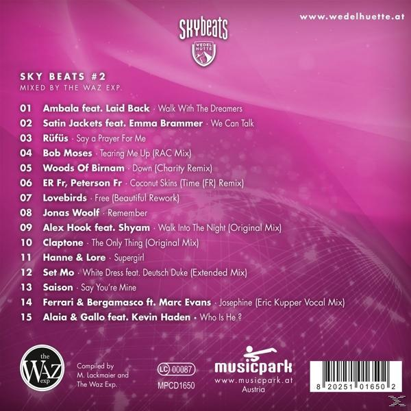 VARIOUS - Skybeats 2 (Wedelhütte)  - (CD)