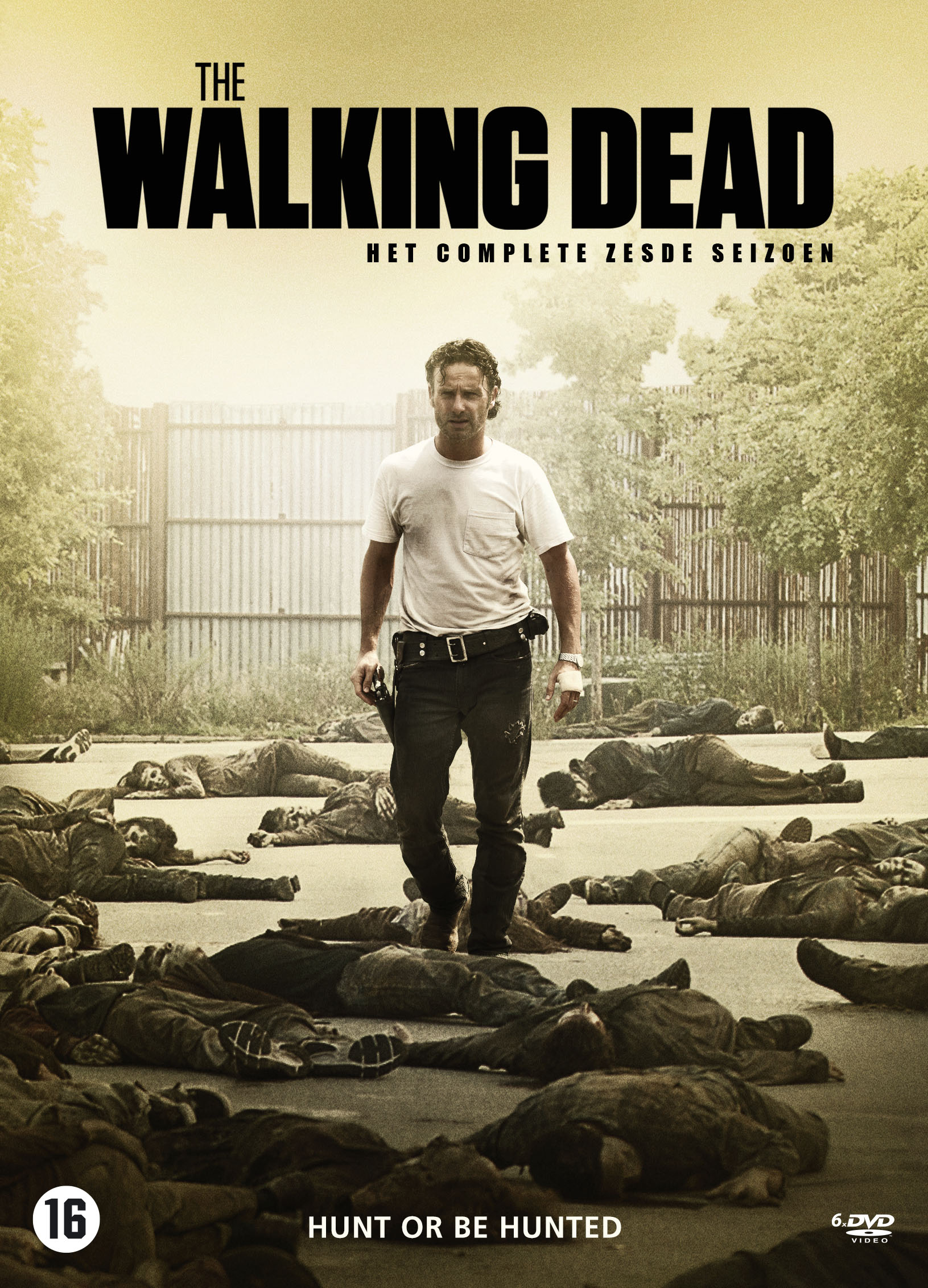 DVD-hoes: Rick Grimes loopt naar voren, omringd door zombies. De titel The Walking Dead staat erboven.