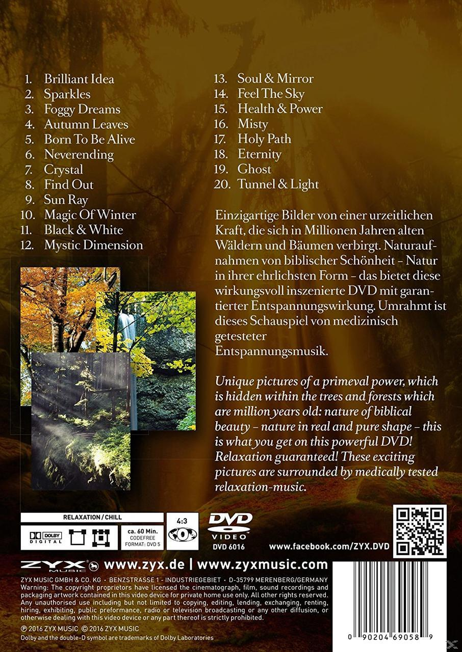 DVD-Cover mit Naturbildern und Text über Entspannungs- und Meditationsmusik.
