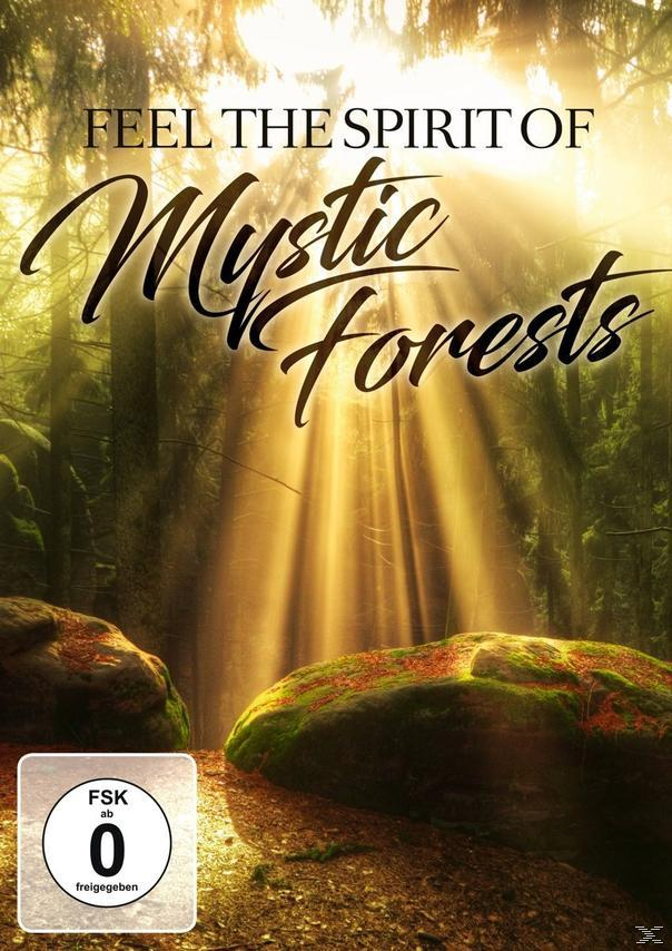 Poster für "Mystische Wälder". Zeigt eine Waldszene mit Sonnenlicht, das durch die Bäume scheint.