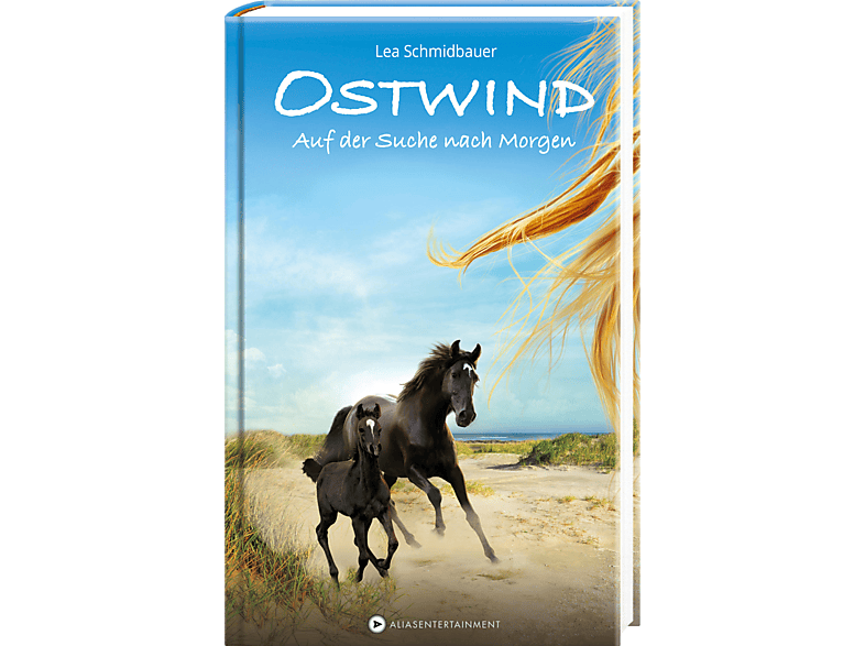 cbj Ostwind Auf der Suche nach MediaMarkt