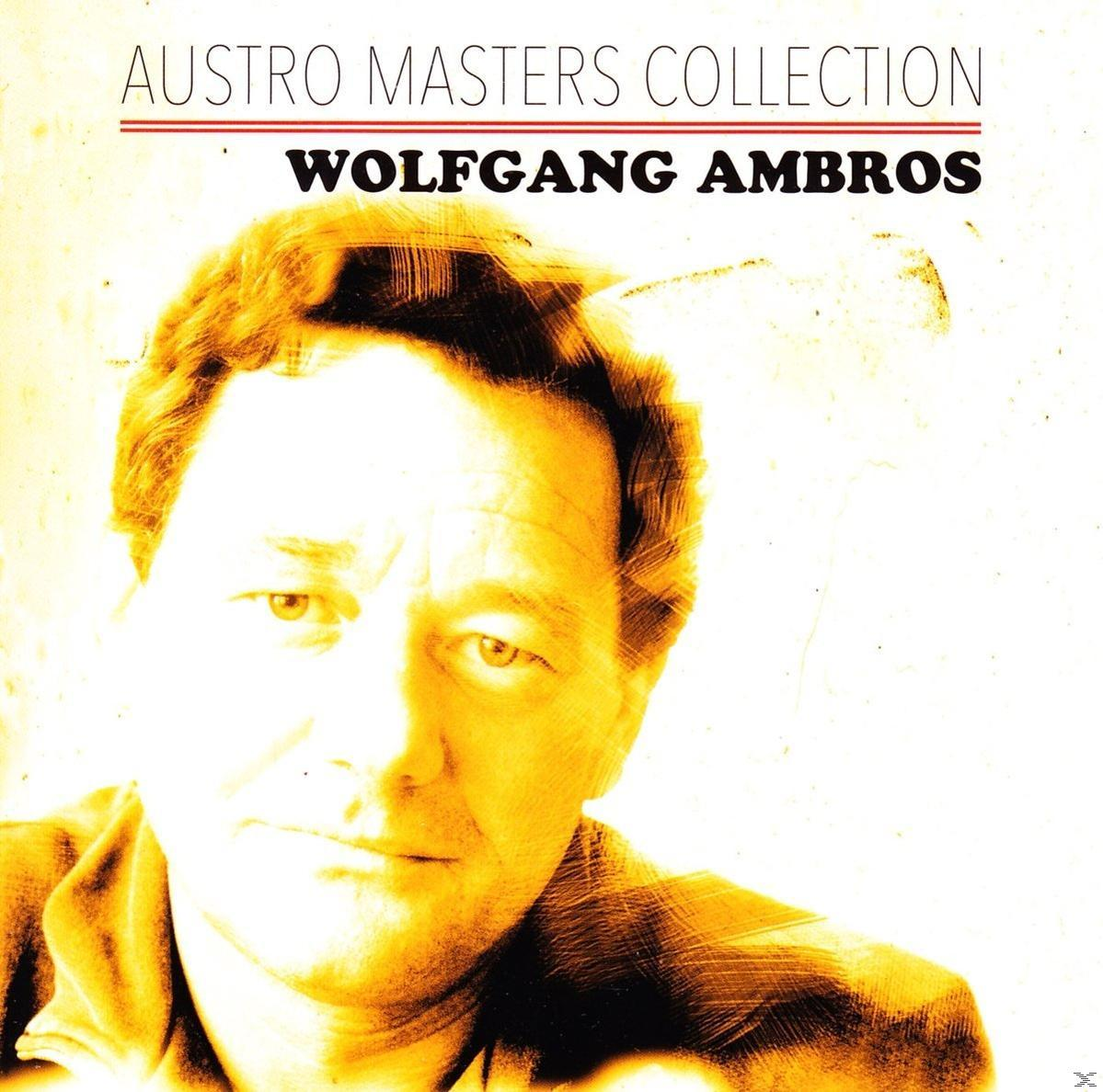 Albumcover von Wolfgang Ambros. Gelbstichiges Bild mit Text. 'Austro Masters Collection' steht geschrieben.