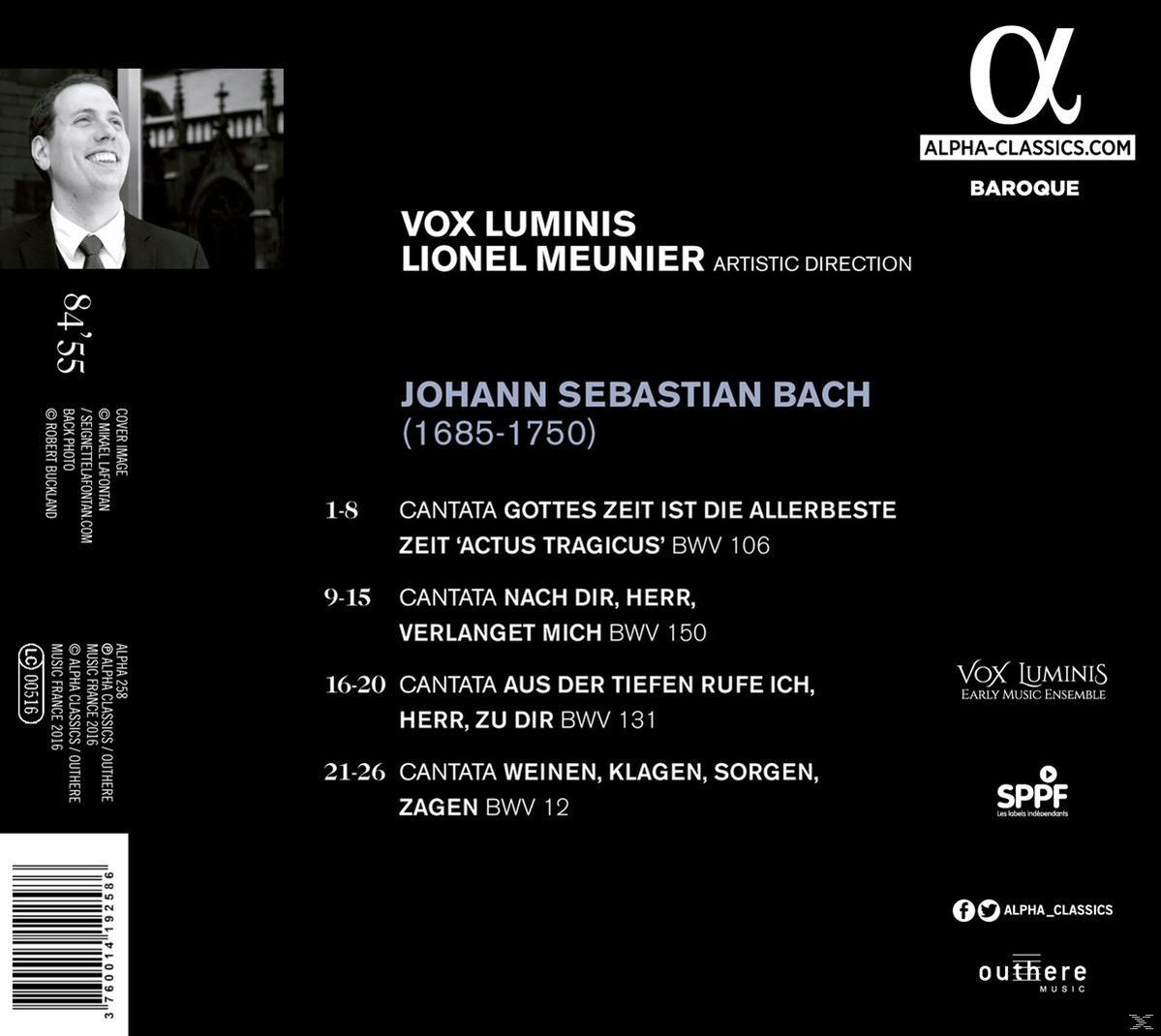 Pochette de CD. Un homme sourit à gauche. Texte : VOX LUMINIS, Lionel Meunier, Johann Sebastian Bach, Baroque.