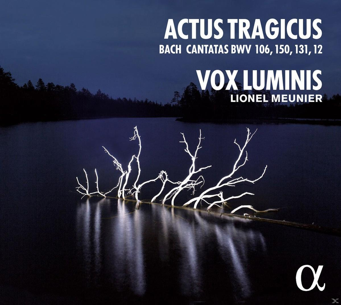 Couverture d'album : Branches éclairées dans un lac sombre, titre 'ACTUS TRAGICUS', 'VOX LUMINIS' et nom de l'artiste. Fond bleu foncé.