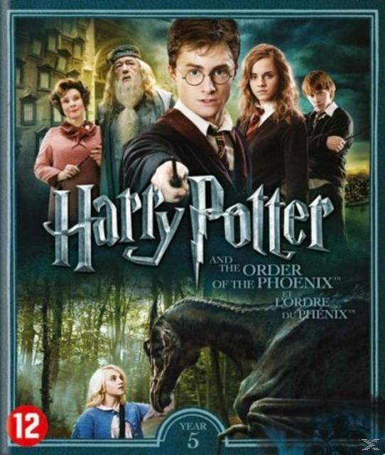 DVD-hoes voor 'Harry Potter and the Order of the Phoenix'. Hoofdpersonen vooraan, een wezen achter.