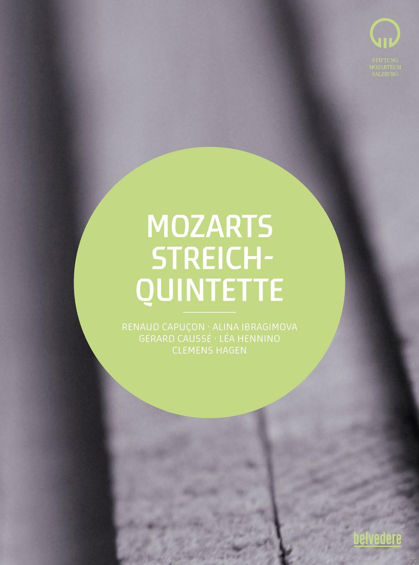Renaud Capucon, Lea Gerard - Mozarts Hennino, + Hagen, Alina Bonus-CD) - Causse Streichquintette Clemens (LP Ibragimova