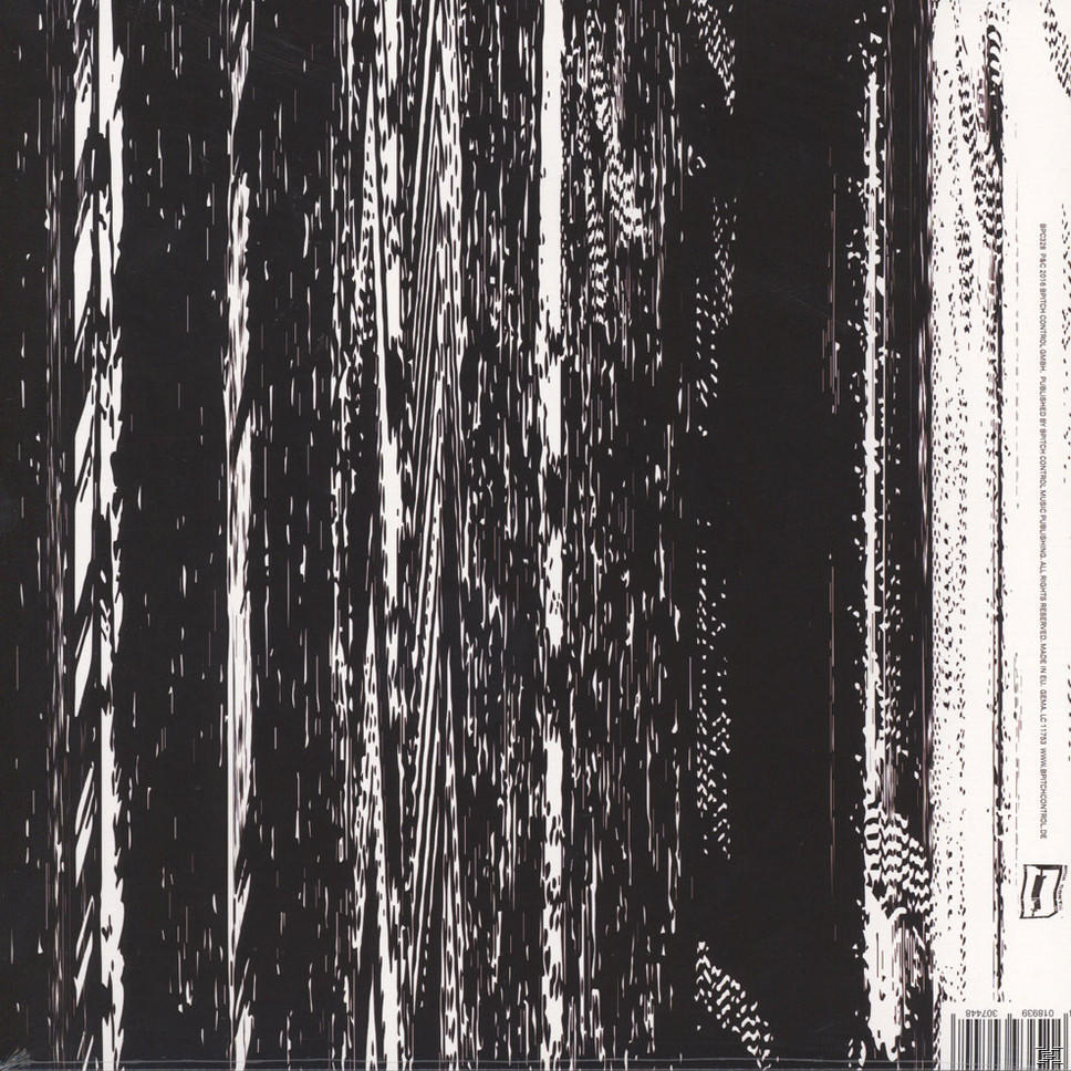 Ellen Allien - Landing XX  - (Vinyl)