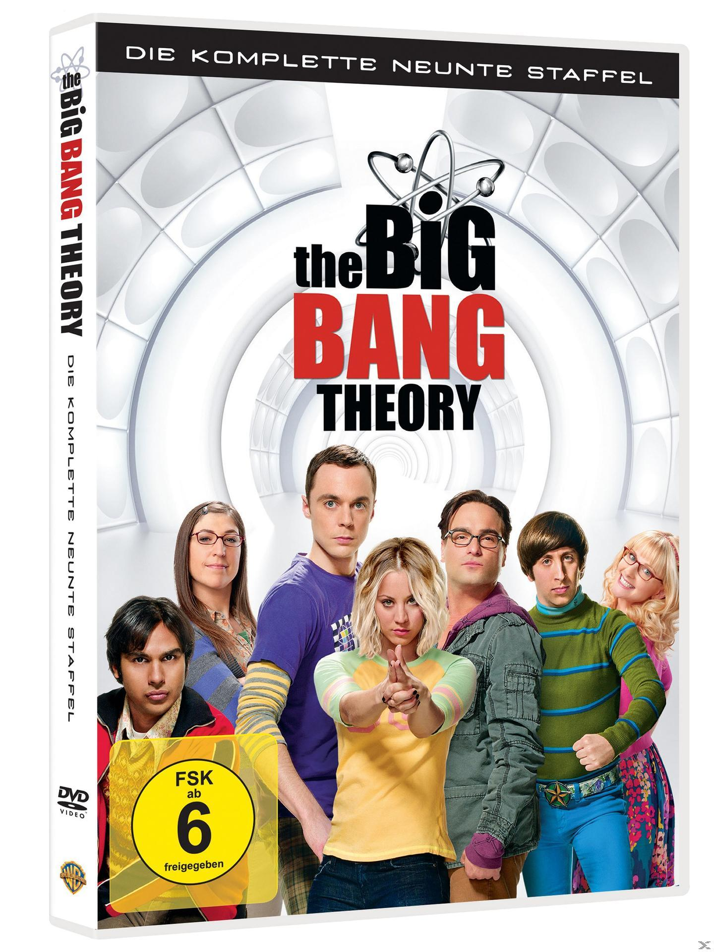 DVD-Cover von The Big Bang Theory. Charaktere vor einem weißen Tunnel.