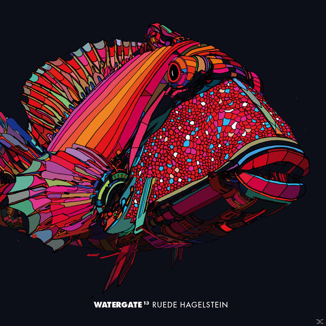VARIOUS - Watergate 13 - Ruede Hagelstein  - (CD)
