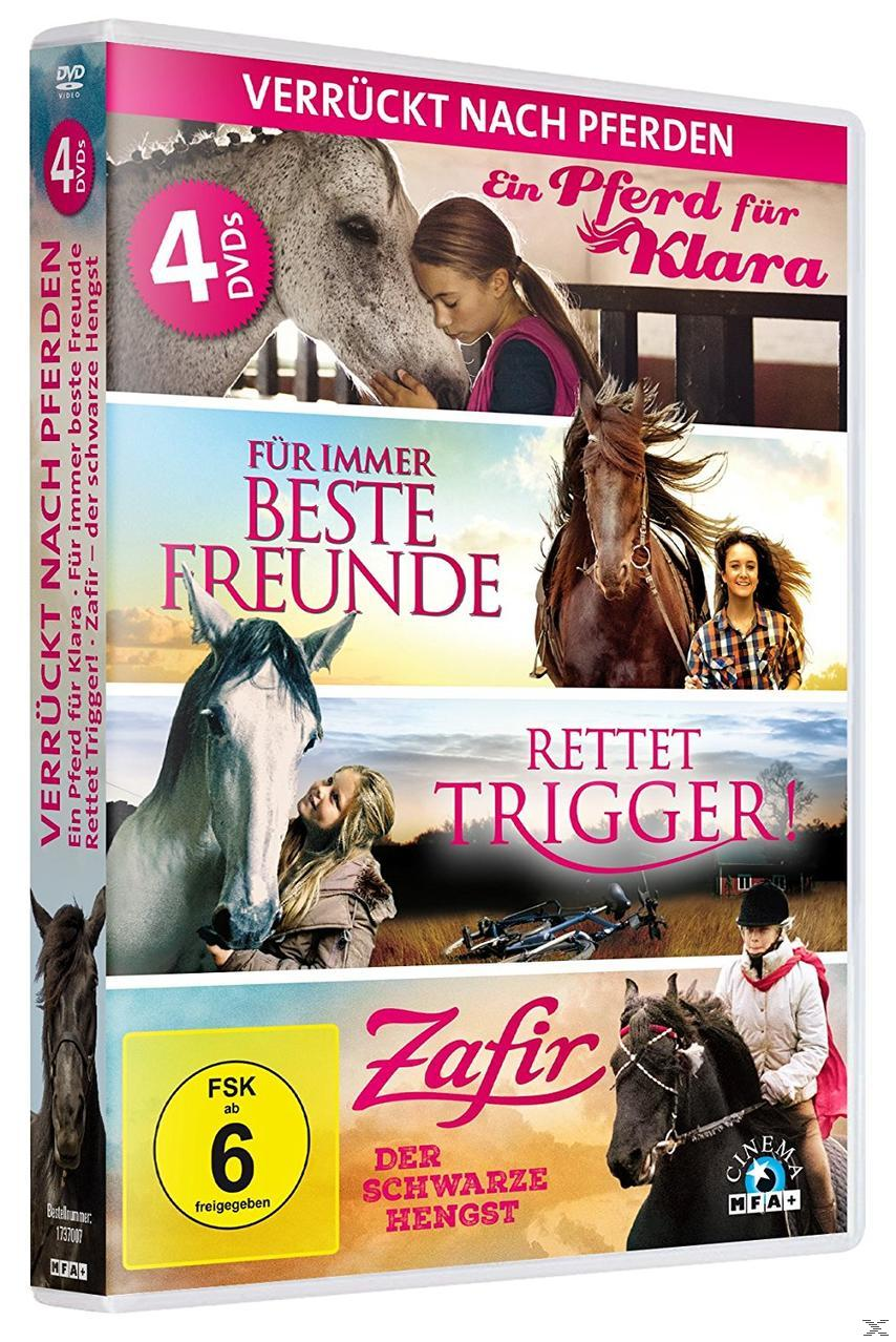 DVD-Hülle mit vier verschiedenen Pferde-Film-Covern und dem Titel auf Deutsch.