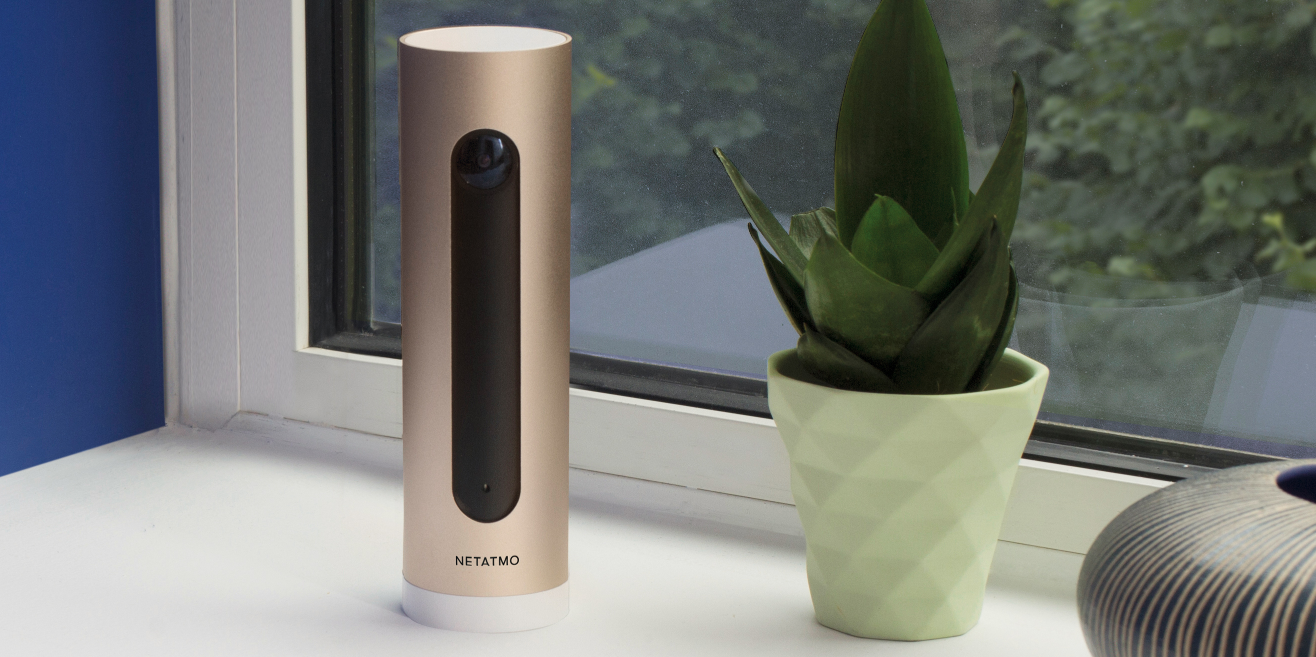 Un appareil domestique intelligent à côté d'une plante sur un rebord de fenêtre, avec un mur bleu en arrière-plan.