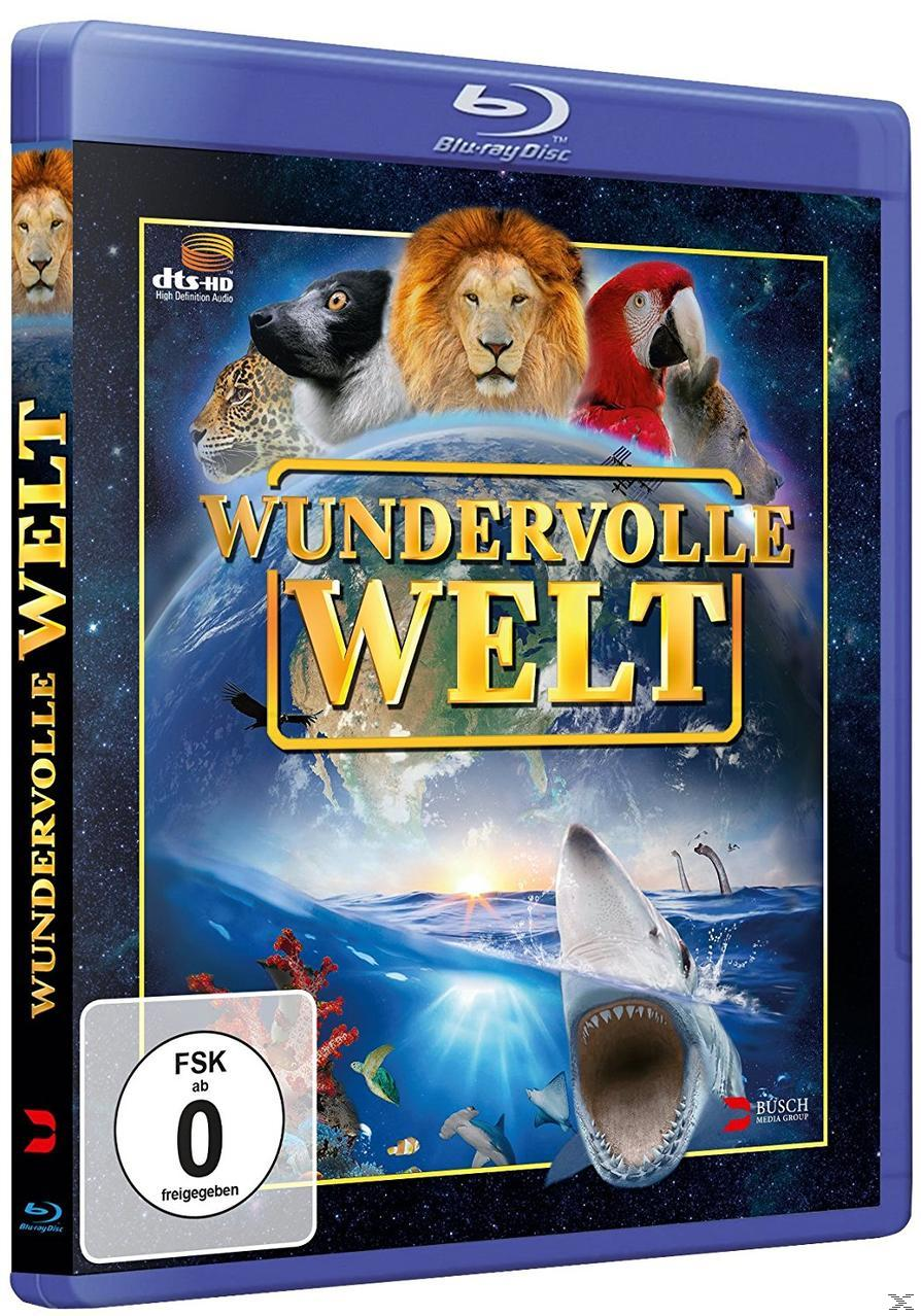 WUNDERVOLLE WELT (BLU-RAY) Blu-ray